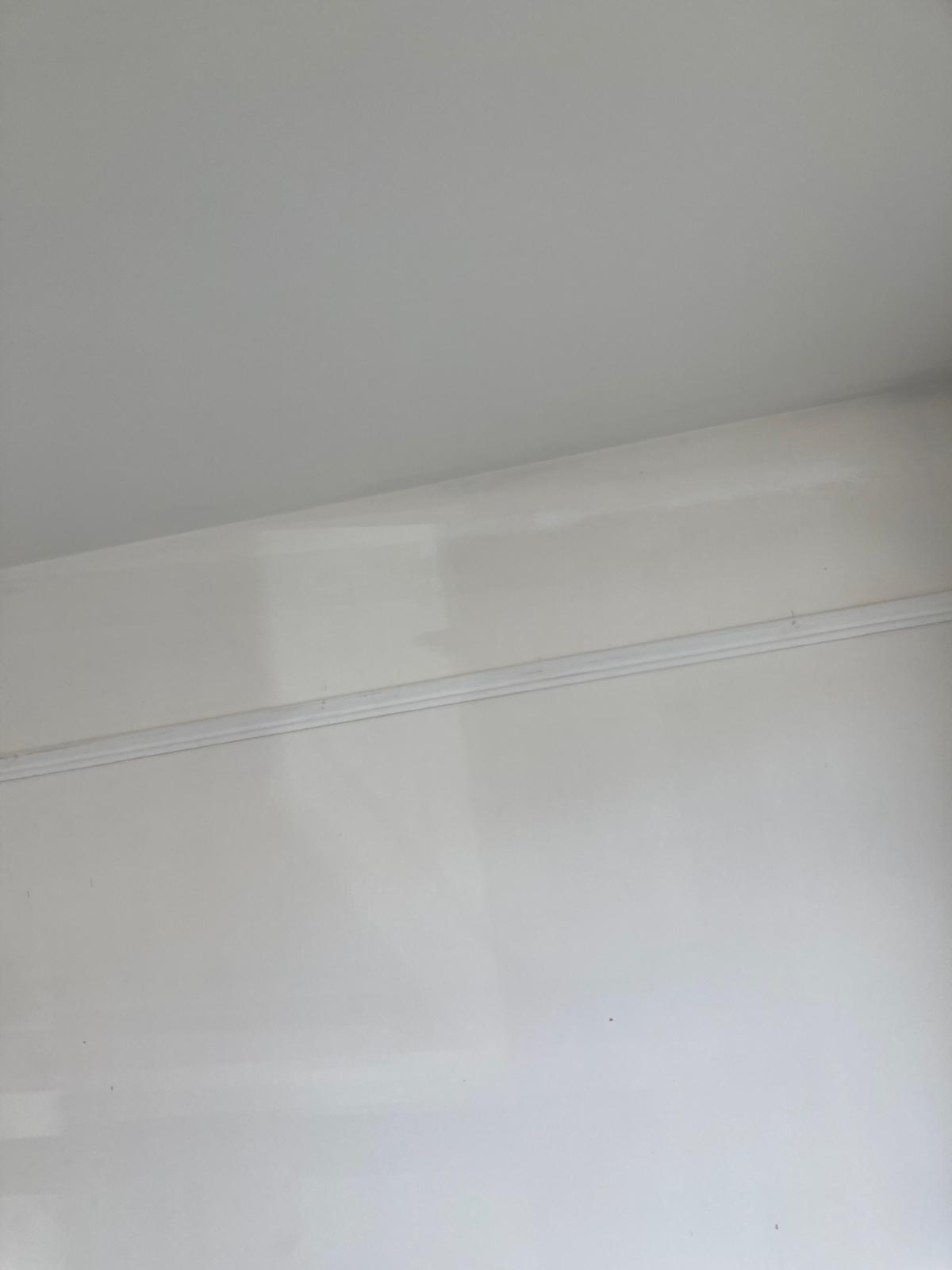 Decorating project by VW Building Services